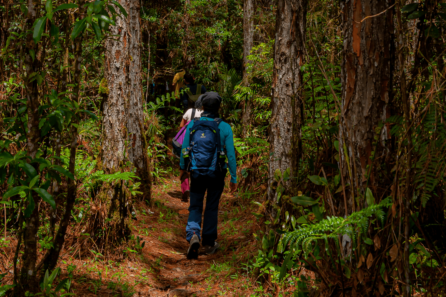 F Rum Em Sp Debate Boas Pr Ticas No Ecoturismo