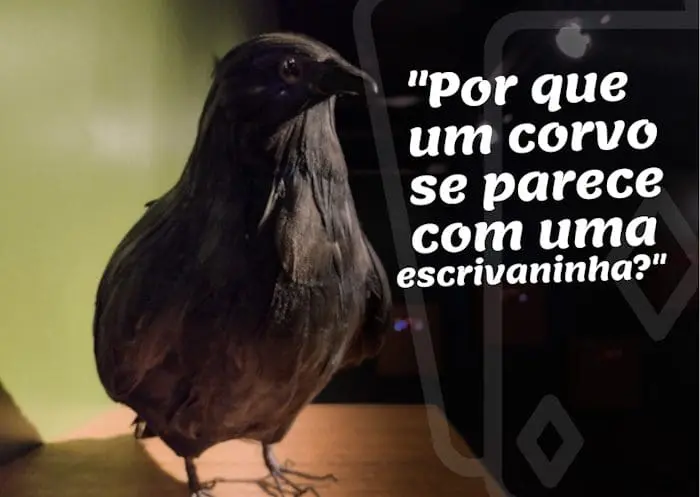 Corvo que Alice o assemelha com escrivaninha 