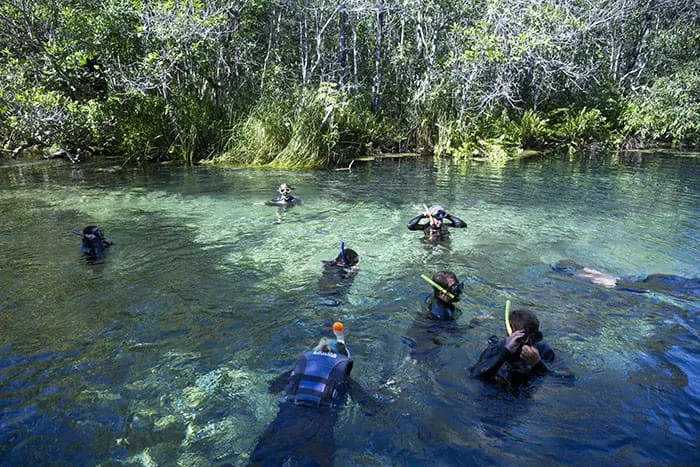 O que levar para Bonito (MS): um dos lagos cristalinos de Bonito, no Mato Grosso do Sul 