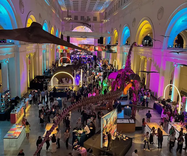 Field Museum ( foto Simone Barros)