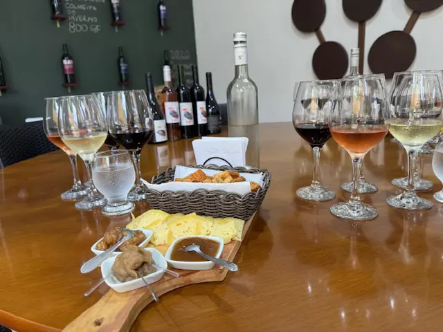 Degustação de vinhos e produtos locais na vinícola Raizes do Baú ( foto Simone Barros)