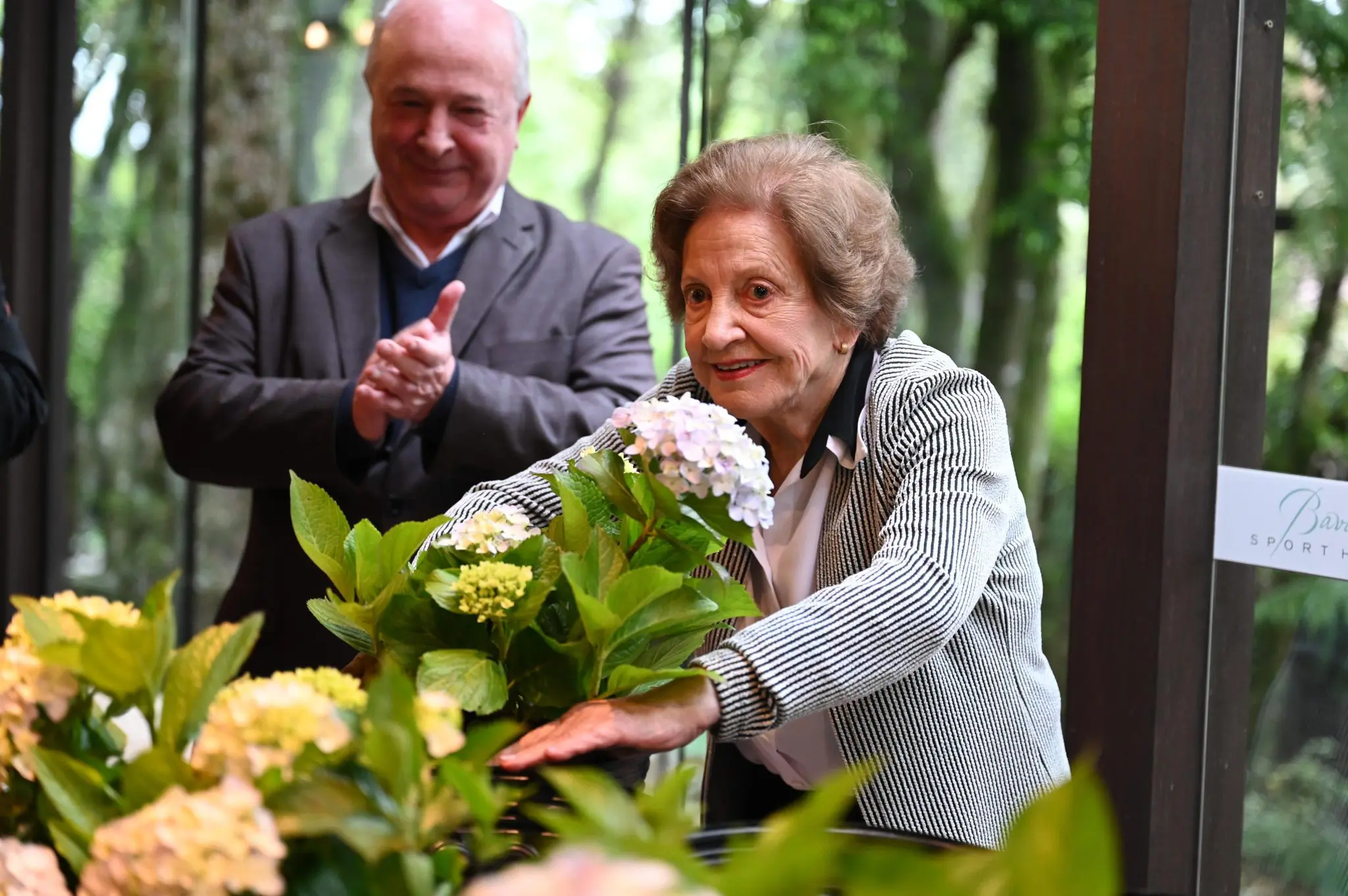 Gramado floresce novamente com o Projeto Hortênsias, movimento que valoriza a identidade local e envolve a comunidade em ações educativas - Foto: Gustavo Mirolli/Festuris