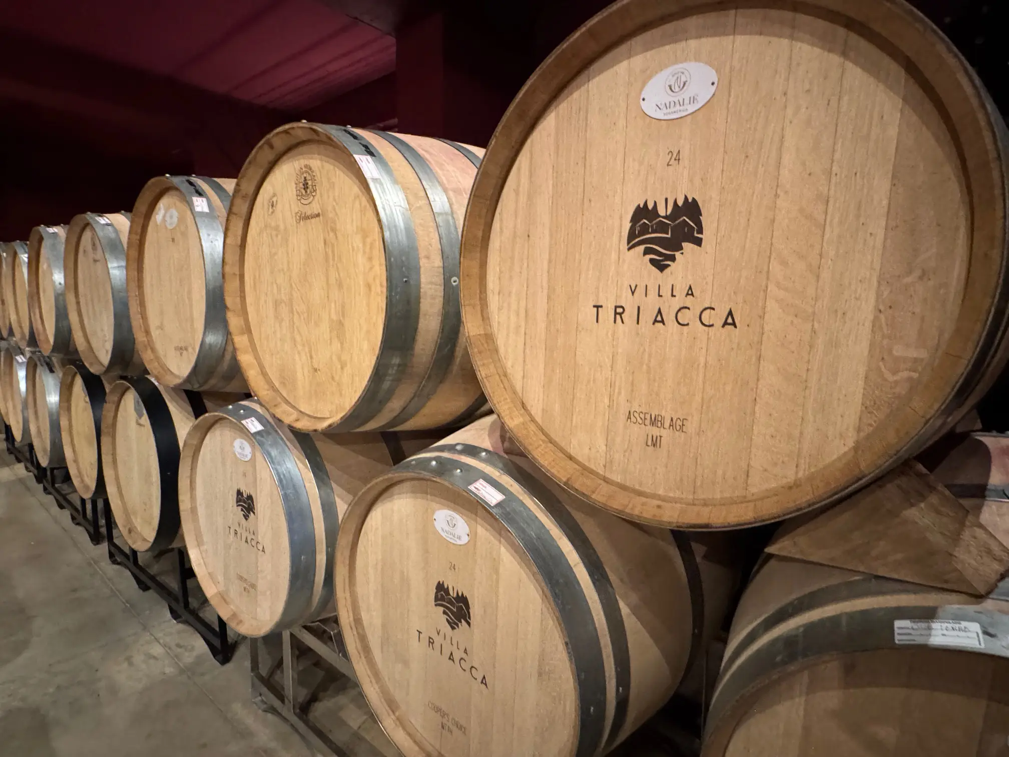 Degustações acontecem na cave e no wine bar da Villa Triacca. Ronaldo Triacca é o fundador ( foto: Simone Barros) - Enoturismo