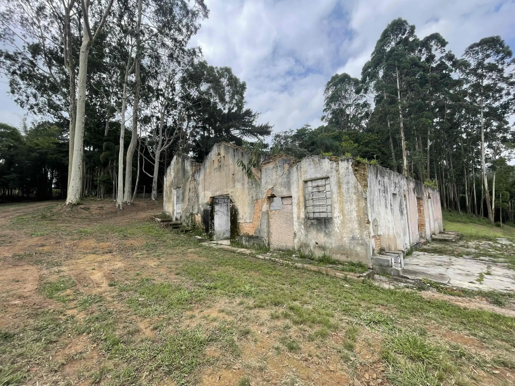 Bosque suave e paredes que guardam histórias — a beleza inesperada da Góes. Crédito: Arquivo Pessoal WS