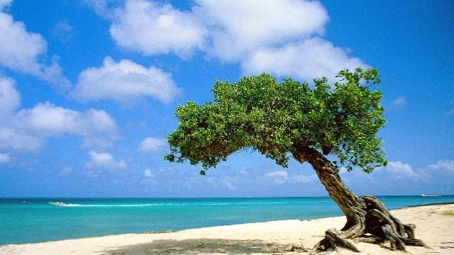 Aruba_09_14