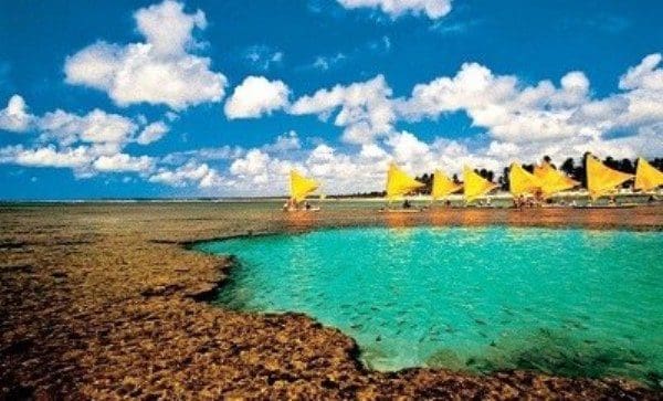 Porto_de_galinhas_ destino_mais_procurado