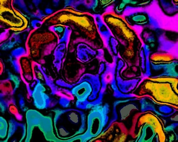 cerebral_diariodoturismo_1_ cerebro