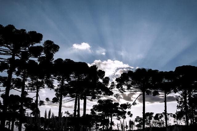 Jardim_Hotel_Toriba_03_15