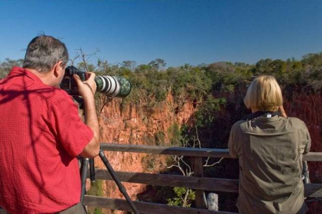 Birdwatch_beto_garavello_06_15