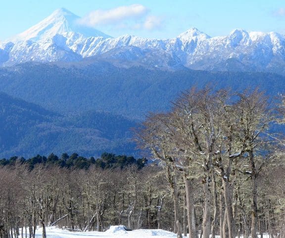 Huilo_Huilo_06_15