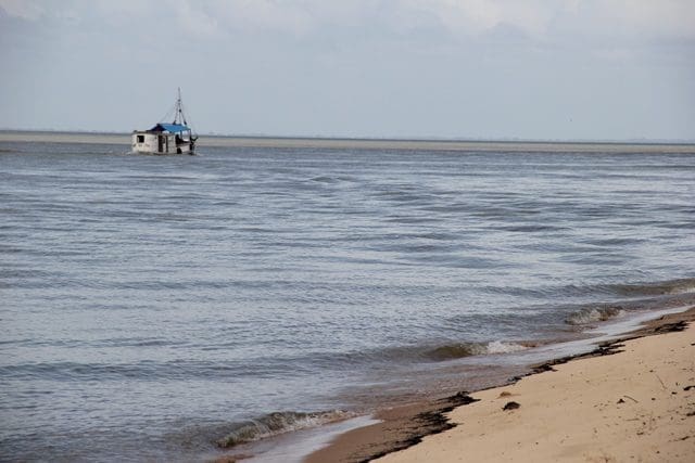 Em 1990, através de Lei Municipal, a Ilha de Cotijuba foi transformada em Área de Proteção Ambiental, fato que obriga a preservação de seus ecossistemas (Foto: DT)