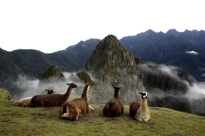A estratégia de promover o Peru como um destino turístico com oferta diversificada tem dado bons resultados em diferentes mercados. (Foto: divulgação)