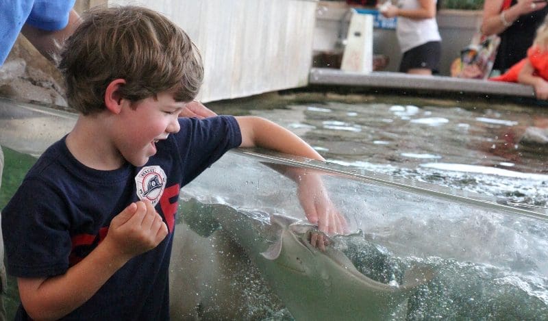 childrens_aquarium_fair_park_texas_10_16