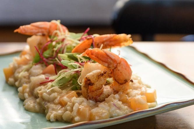 risoto