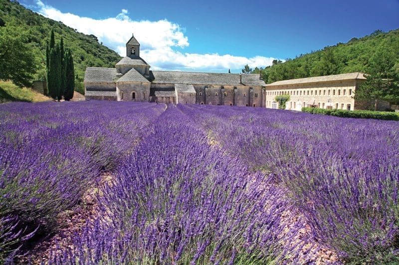 provença