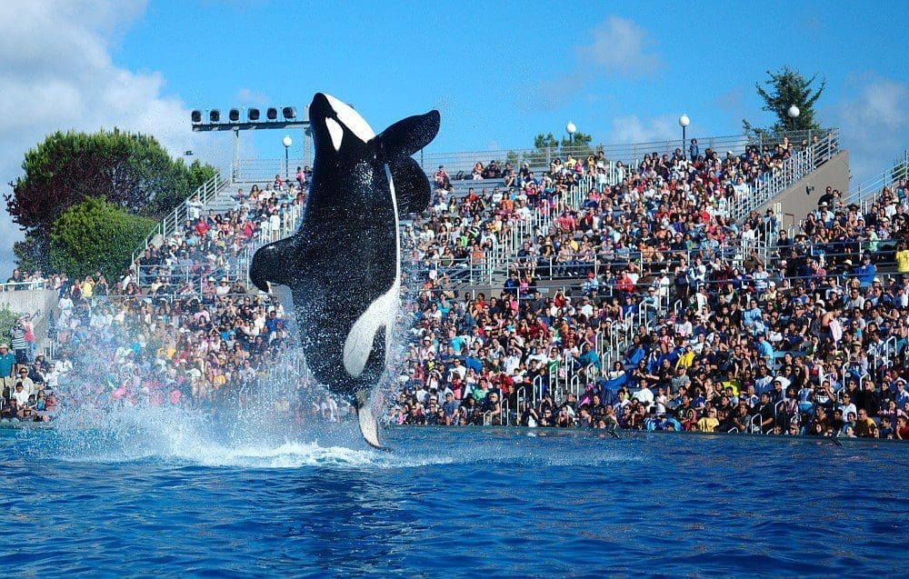 Sea_World