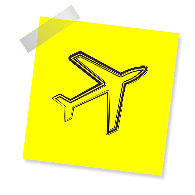 flight-1468473_640