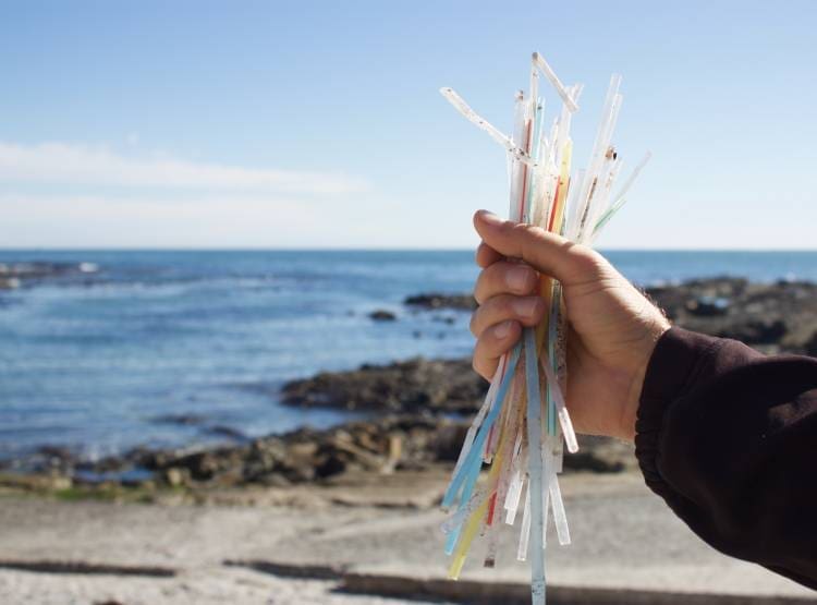 Canudos no mar
