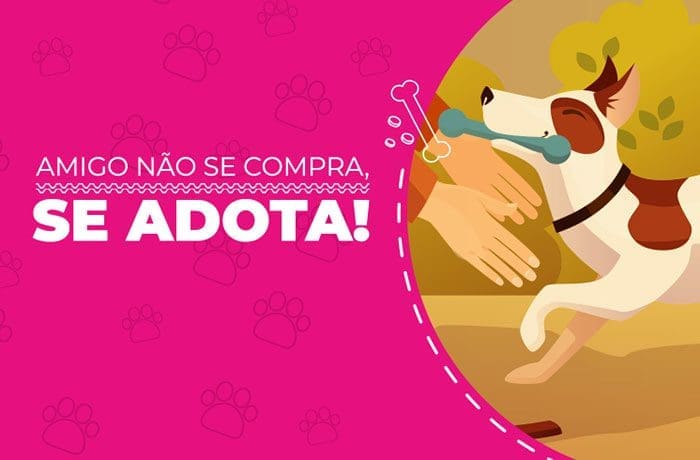 pet-amigo