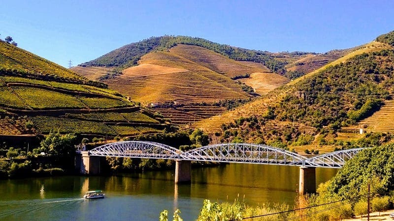 Vista Douro_Qta Bomfim