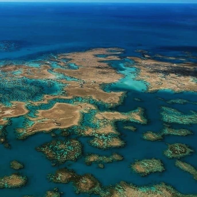 ABROLHOS DT