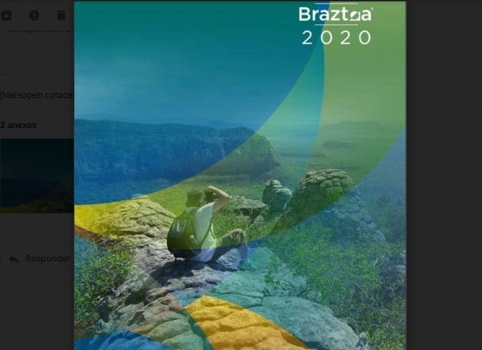 Anuario Braztoa 2020