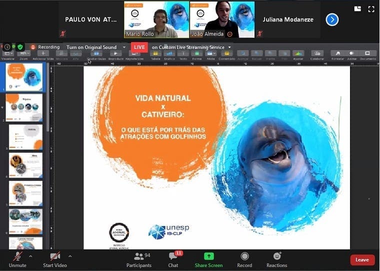 Webinario golfinhos