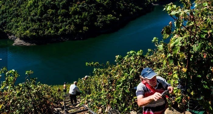 Ribeira Sacra - acontia div