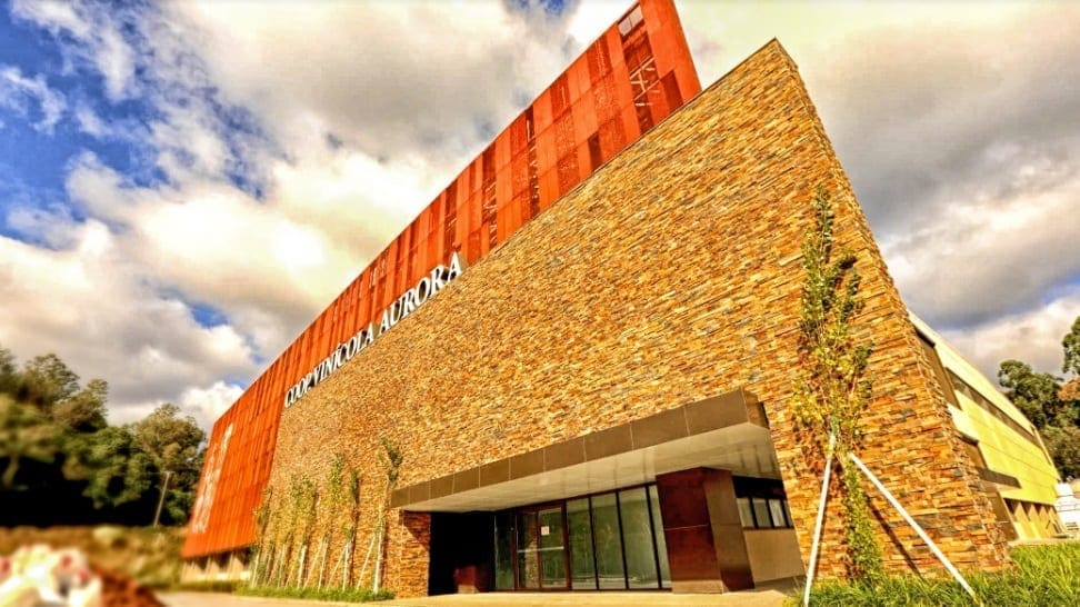 Vinicola aurora 2