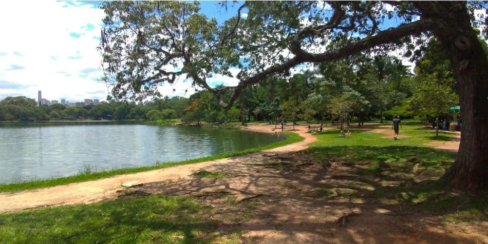 Ibirapuera matos jr.