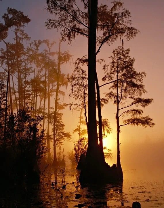 Mato Grosso do Sul