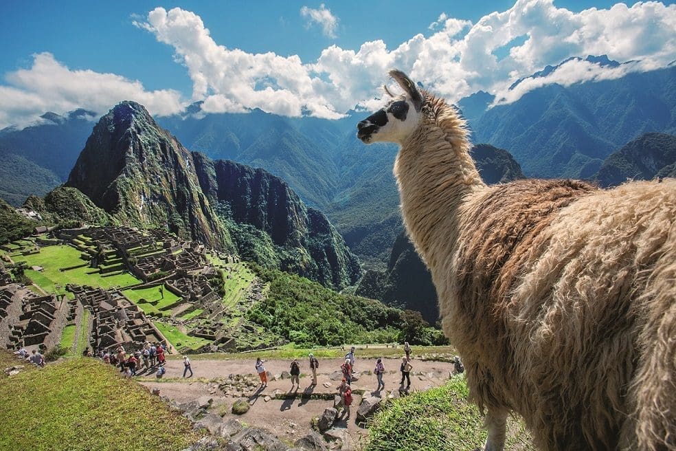 Machu Picchu