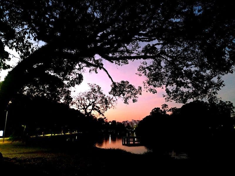 Parque do Ibirapuera WMATTOS
