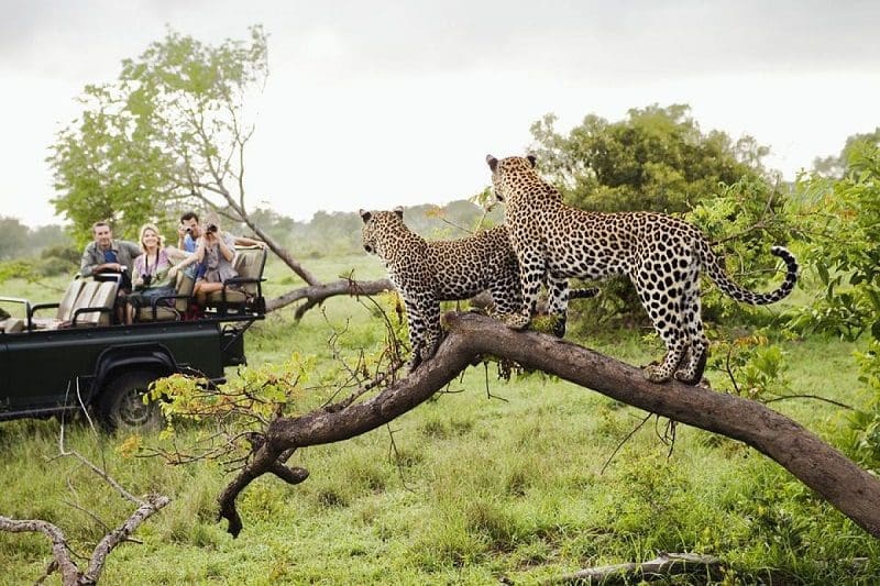 Parque Nacional Kruger DIV Turistas alemães no Parque
