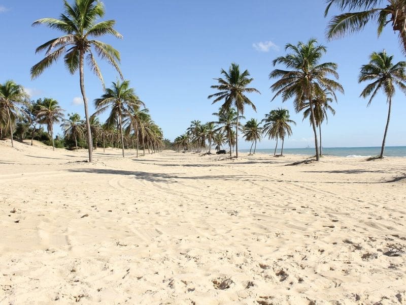 Praia de Fortaleza, capital do Ceará - Crédito Pixabay