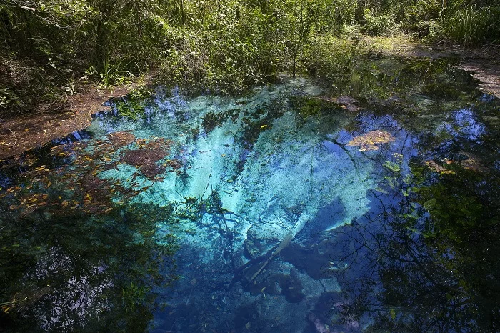 Rio_Sucuri_Flávio André de Souza O Rio Sucuri, em Bonito, no MS, é uma das atrações contempladas pela Acqua Studio de Viagens, que recebeu certificação socioambiental do Instituto Chico Mendes
