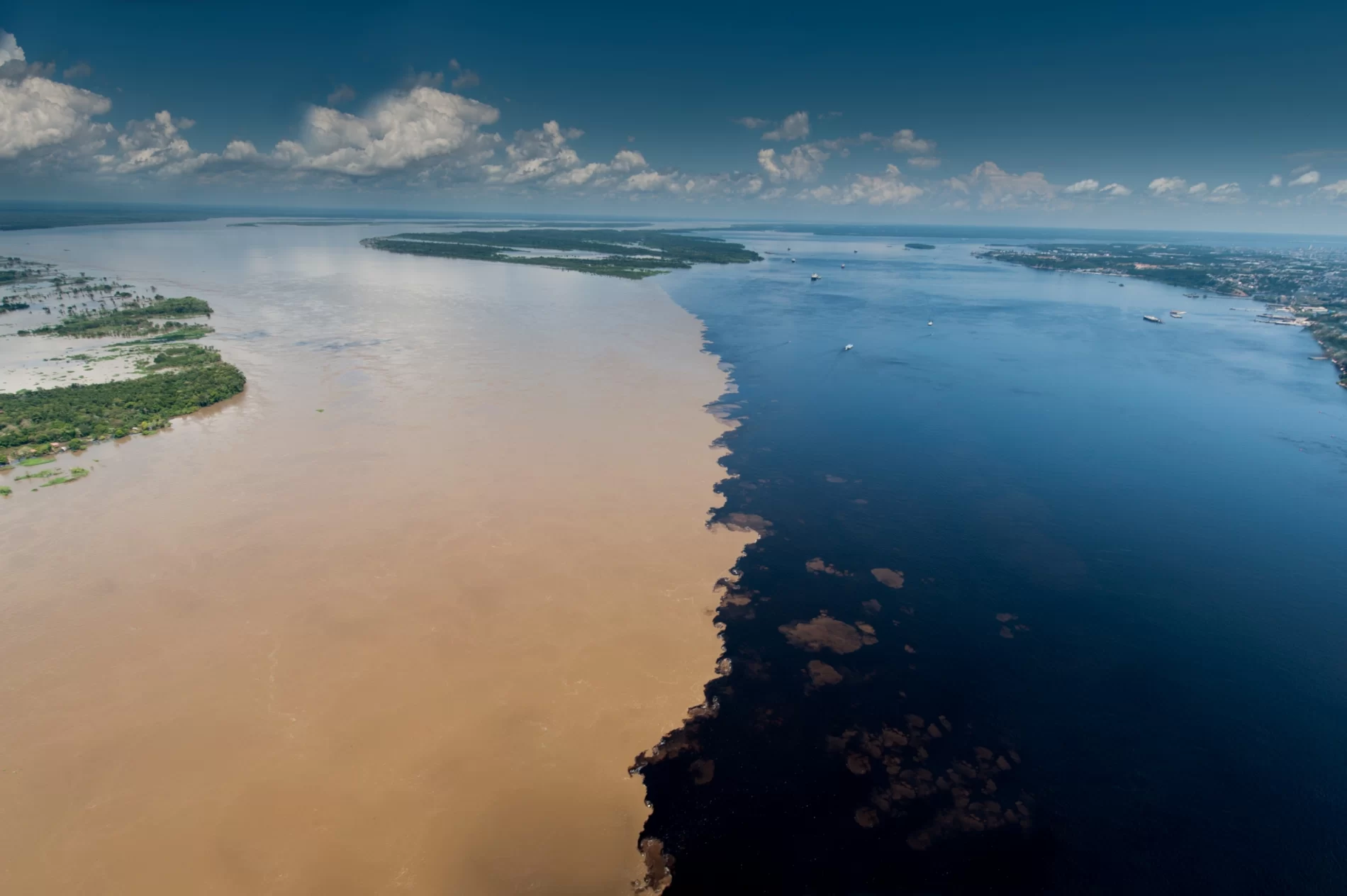 Encontro das íguas Amazônia é floresta amazônica