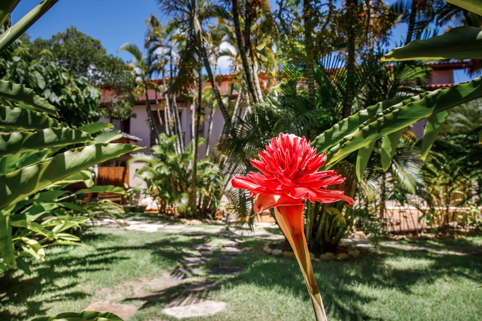 Resort La Torre promove ações no Dia Mundial do Meio Ambiente Resort La Torre promove ações no Dia Mundial do Meio Ambiente