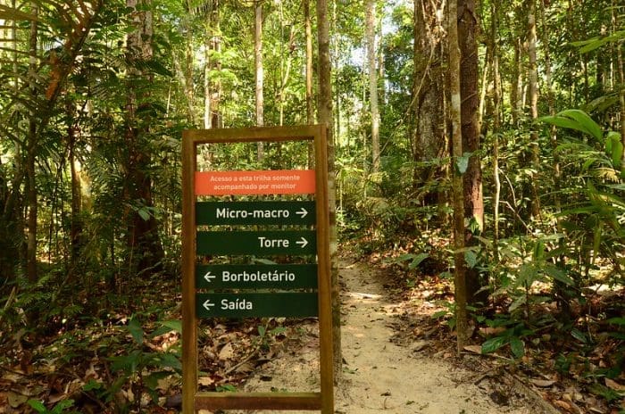 Na Amazônia, há várias opções para ecoturismo sustentável, como no Museu da Amazônia (MUSA), em Manaus (AM)