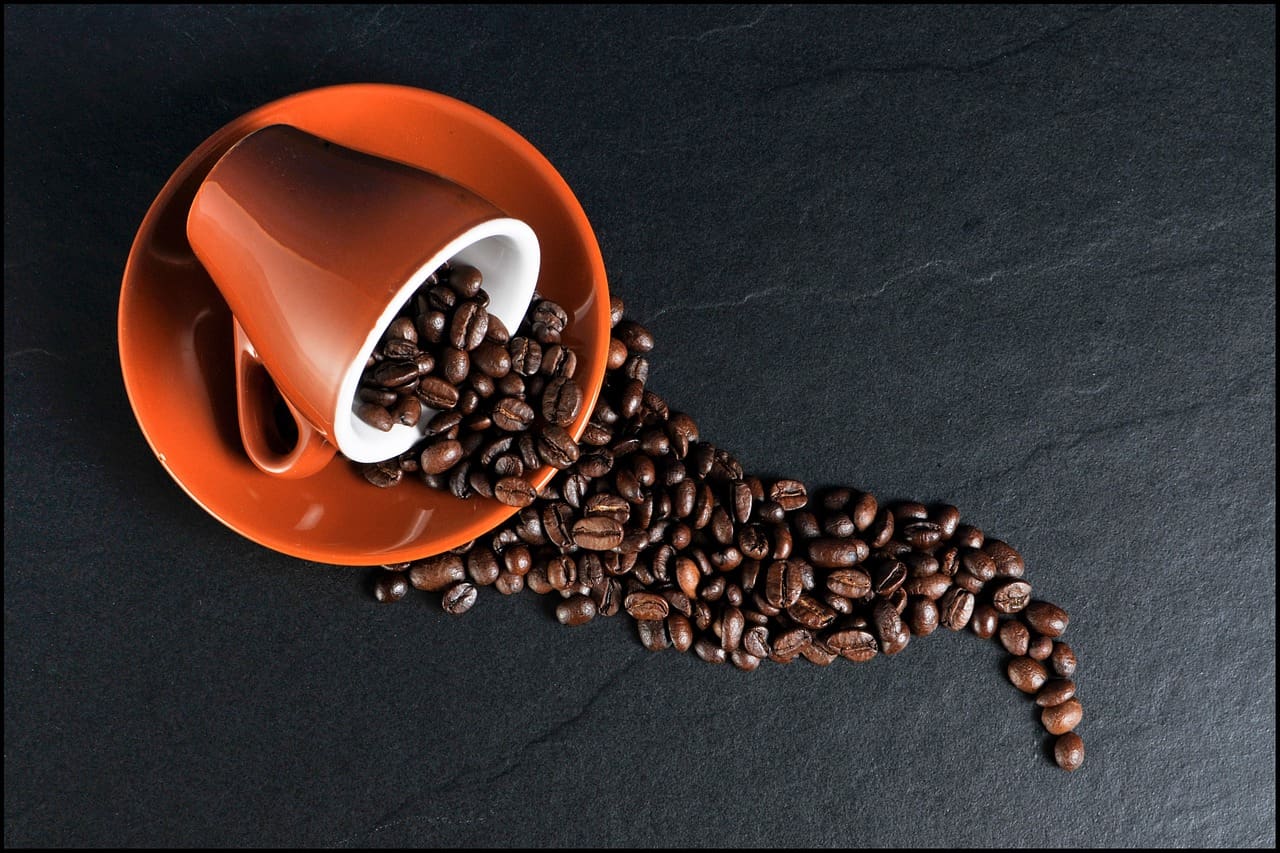 Dia Internacional do Café