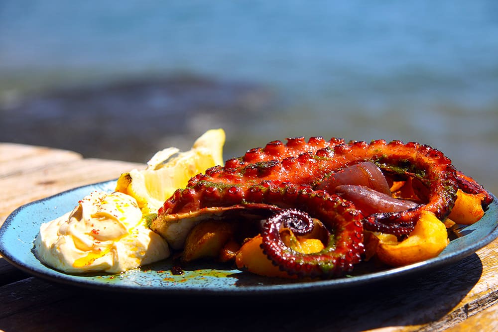 Ilhabela (SP) anuncia primeira edição do festival Sabores da Praia