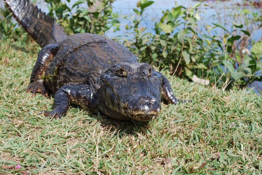 Bonito é destino de ecoturismo