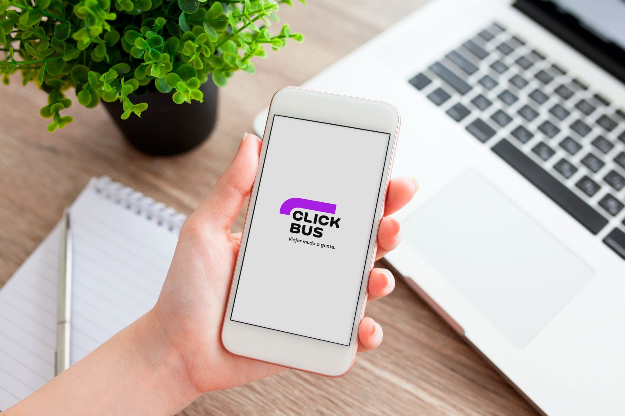 ClickBus aponta aumento de 20% na emissão de passagens e registra crescimento durante o feriado prolongado (Foto: Divulgação)