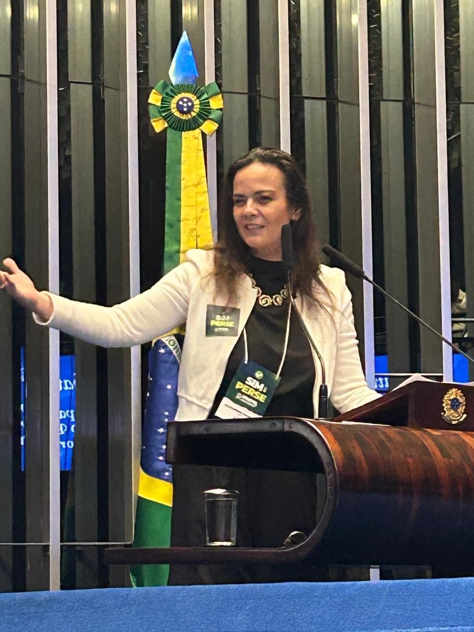 LIRIAN NO SENADO