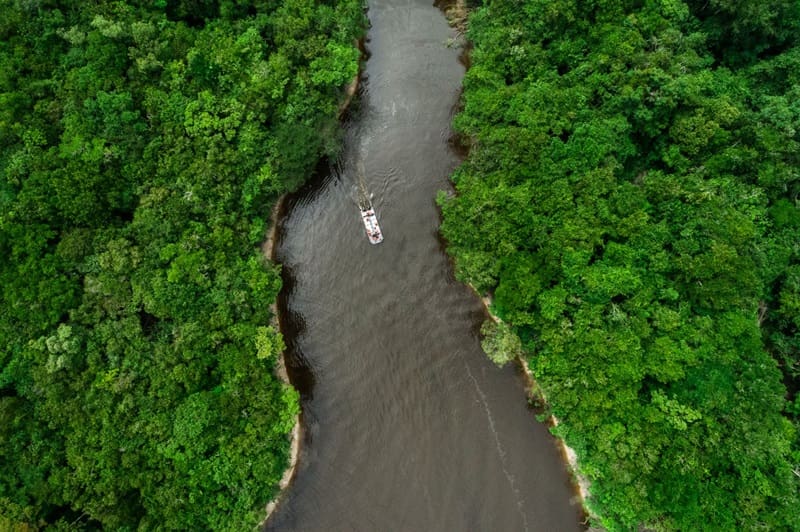 Grand Amazon Expedition