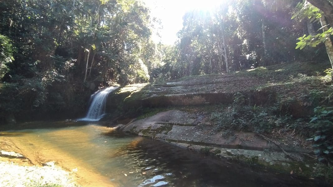 Imersão na floresta traz bem estar, afirma analista de sustentabilidade da Reserva Águia Branca - Foto: Bruno Almeida - DT