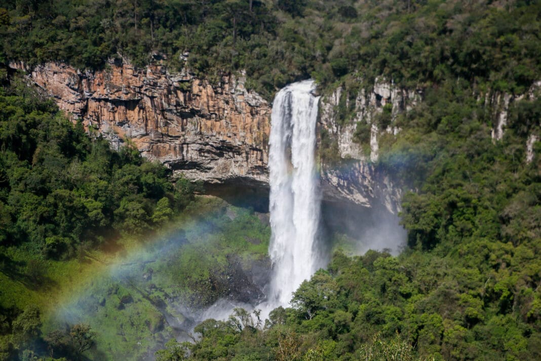 Foto: Divulgação assessoria Parque Bondinhos Canela