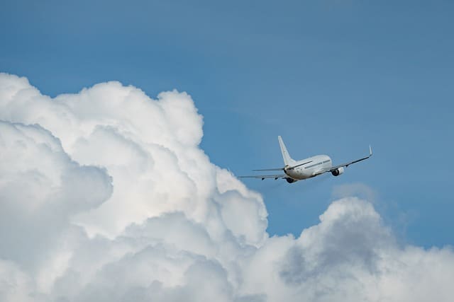 Iata - Foto: Pixabay