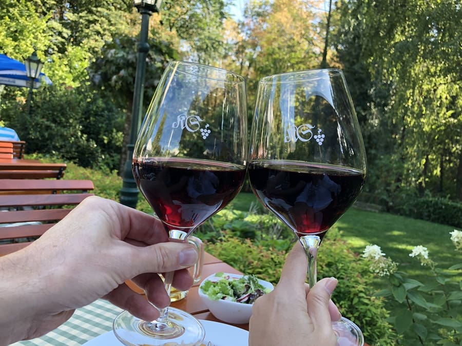 Um brinde pelo vinho, logo de uma visita pelo Mosel Enoturismo e Enogastroturismo