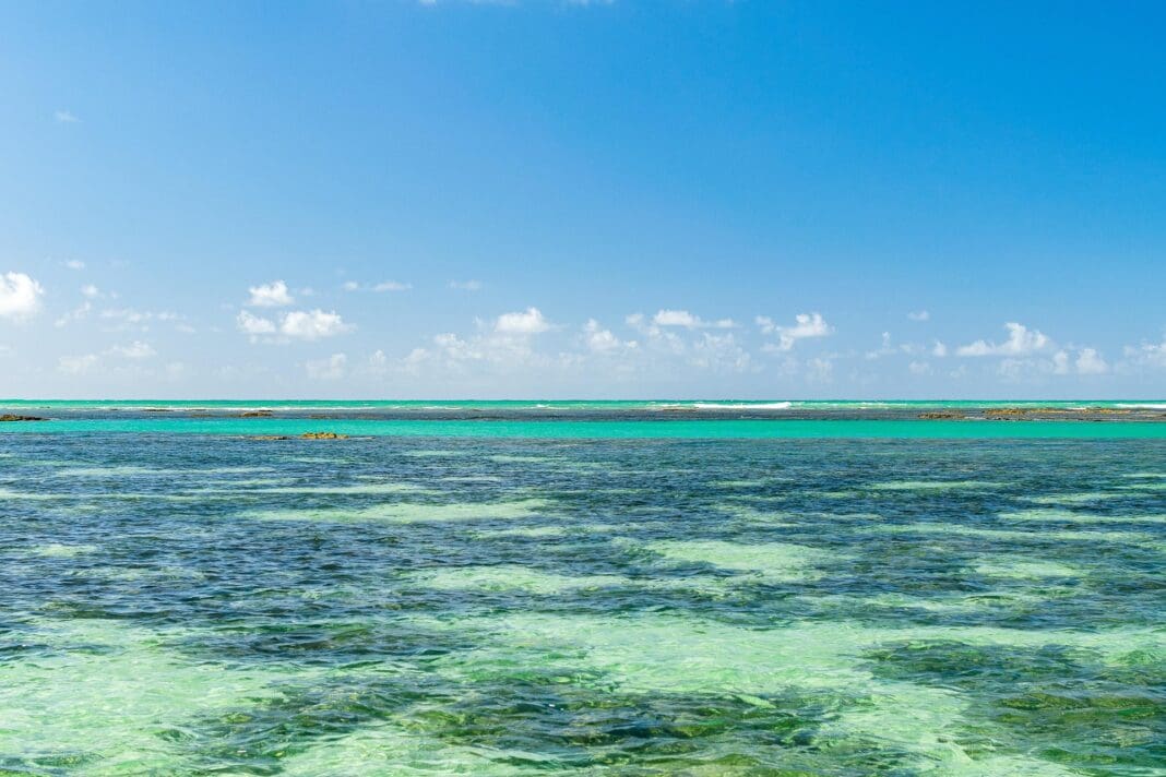 Piscinas naturais de Maragogi - Foto: Pixabay